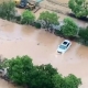江西宜春暴雨成災(zāi):居民上街抓魚，水利部啟動ⅳ級應(yīng)急響應(yīng)