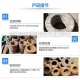 防水翼環(huán)使用廣泛，那么你知道防水翼環(huán)的設(shè)計(jì)理念和特點(diǎn)嗎？
